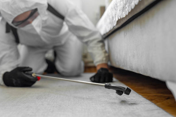 Professional Wasp Control technician working in University of California-Davis, CA