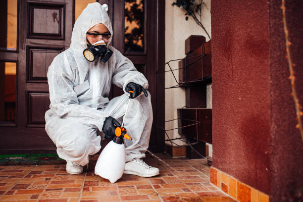 Reliable Ant Control contractor in University of California-Davis, CA by Nex Pest Control