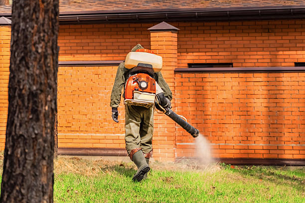 Trusted Emergency Pest Control service in University of California-Davis, CA - Nex Pest Control